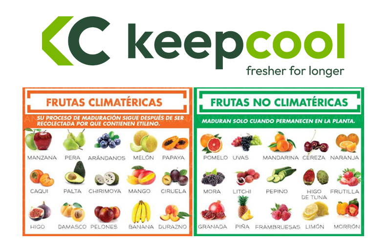 Frutas climatéricas y no climatericas