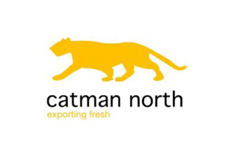 Catman North