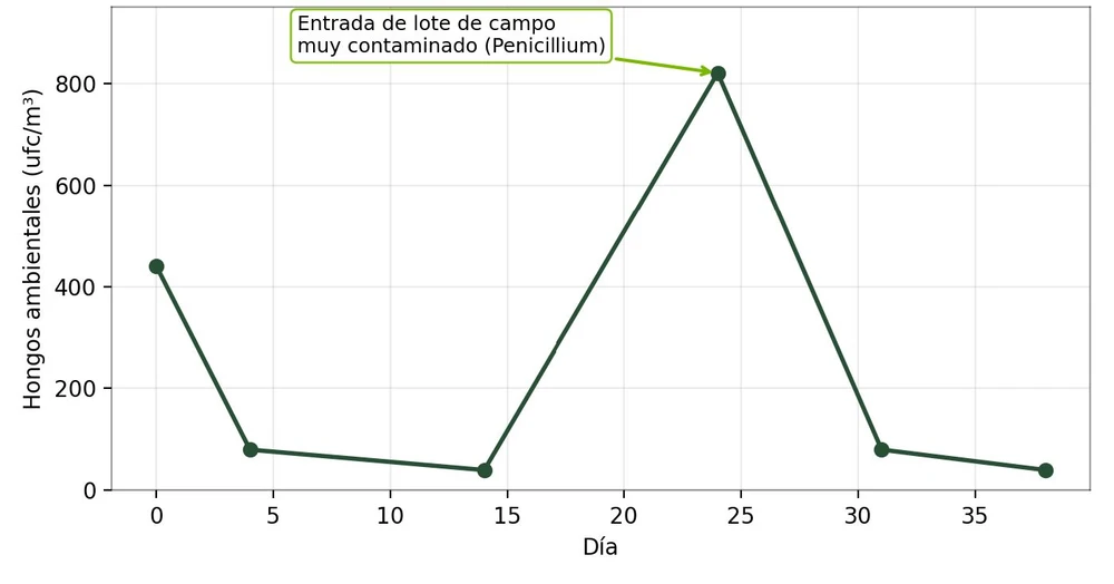 Evolución de hongos ambientales en el ensayo hortofrutícola, incluido el pico por entrada de un lote contaminado